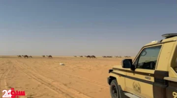 الأمن البيئي يضبط مواطناً لمخالفته أنظمة الرعي في إحدى المحميات الطبيعية